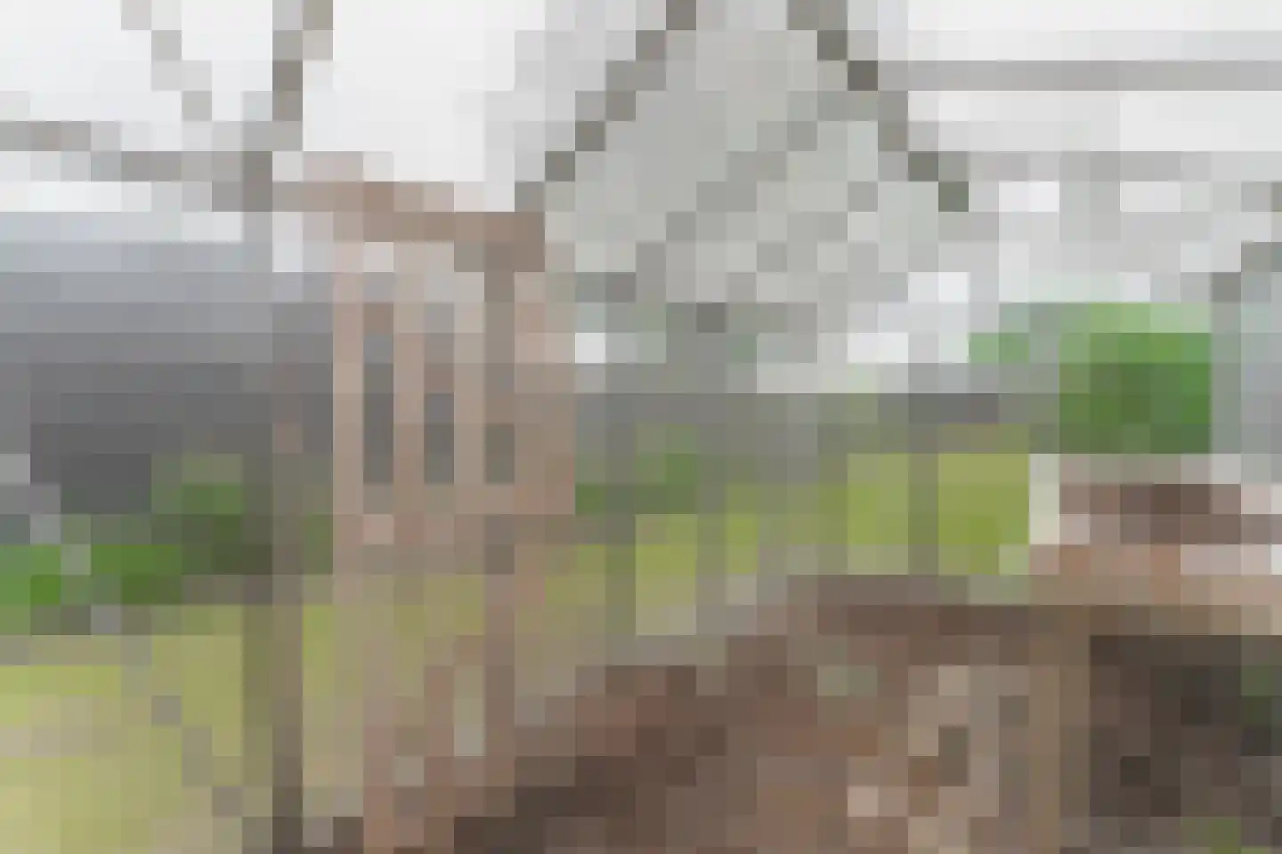 De Buurt 109 Venhuizen thumbnail 66