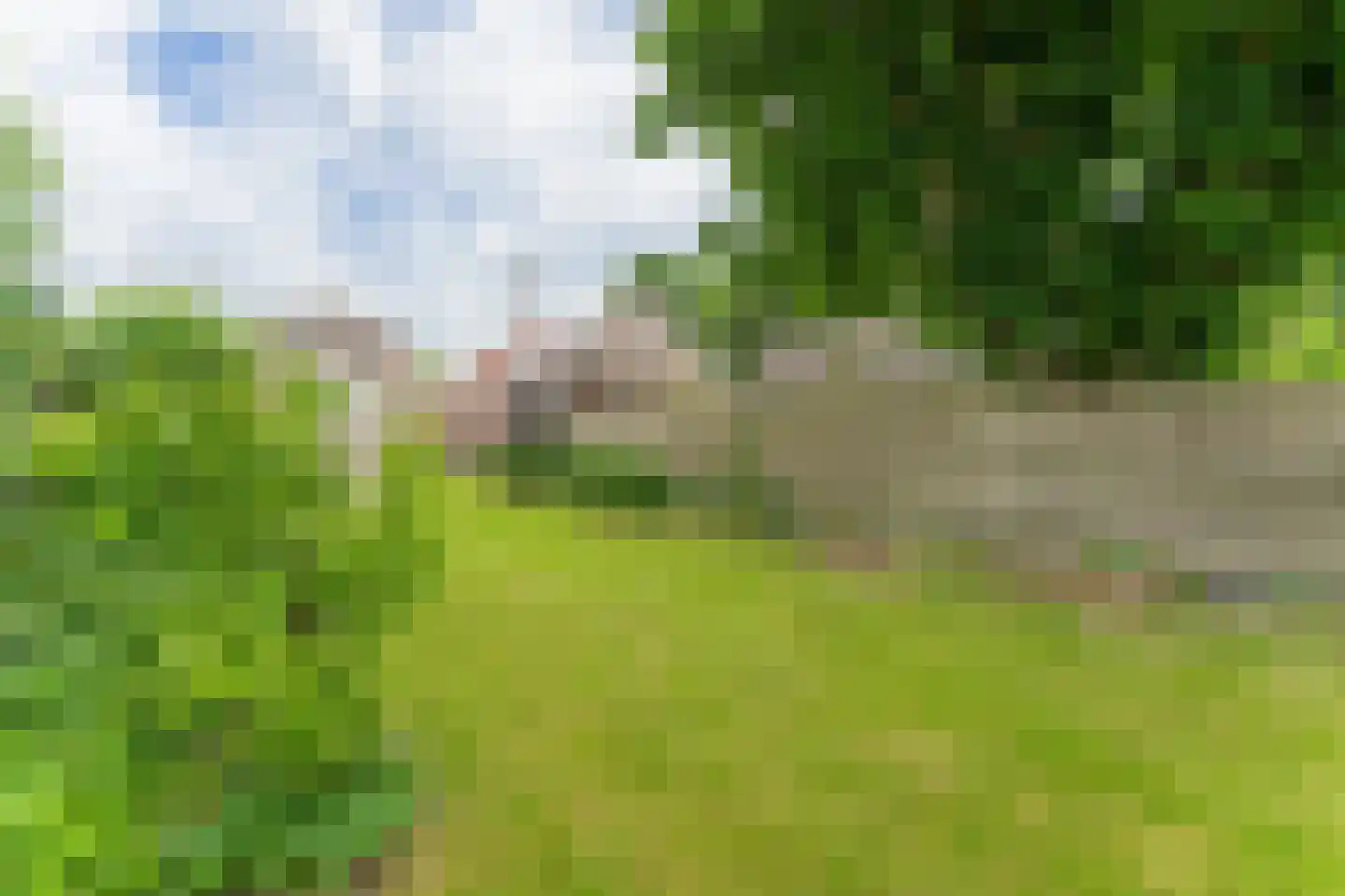 De Buurt 109 Venhuizen thumbnail 67
