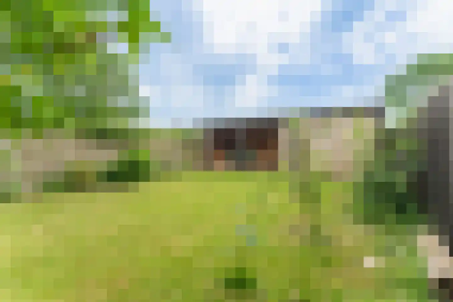 De Buurt 109 Venhuizen thumbnail 68