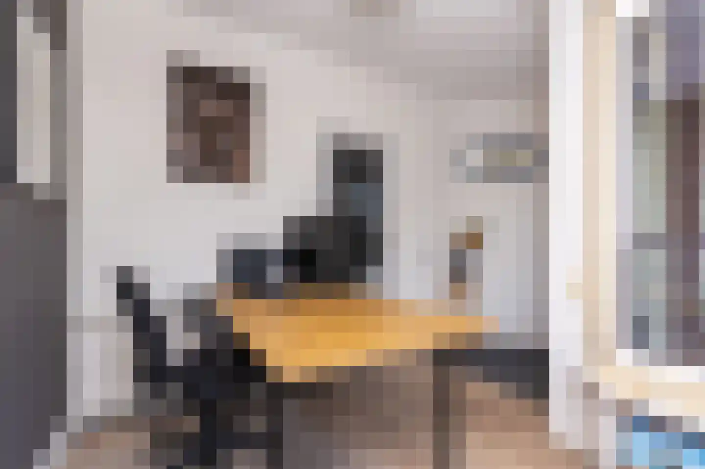 De Buurt 109 Venhuizen thumbnail 7