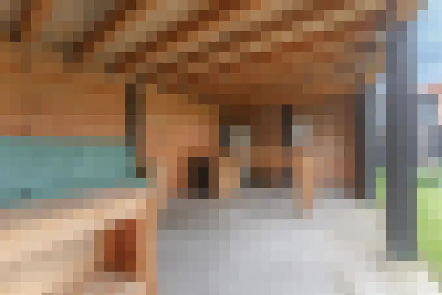 De Buurt 109 Venhuizen thumbnail 71