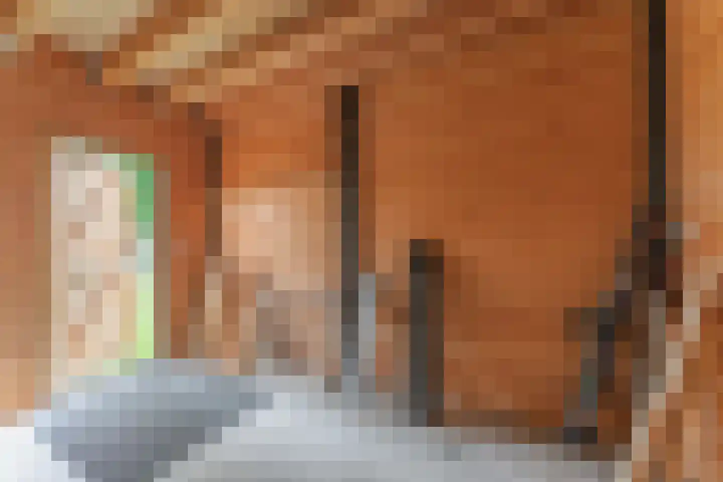 De Buurt 109 Venhuizen thumbnail 73