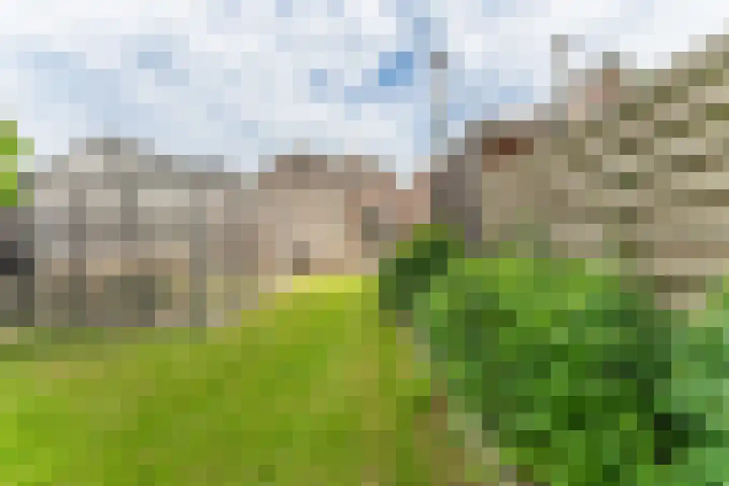 De Buurt 109 Venhuizen thumbnail 8