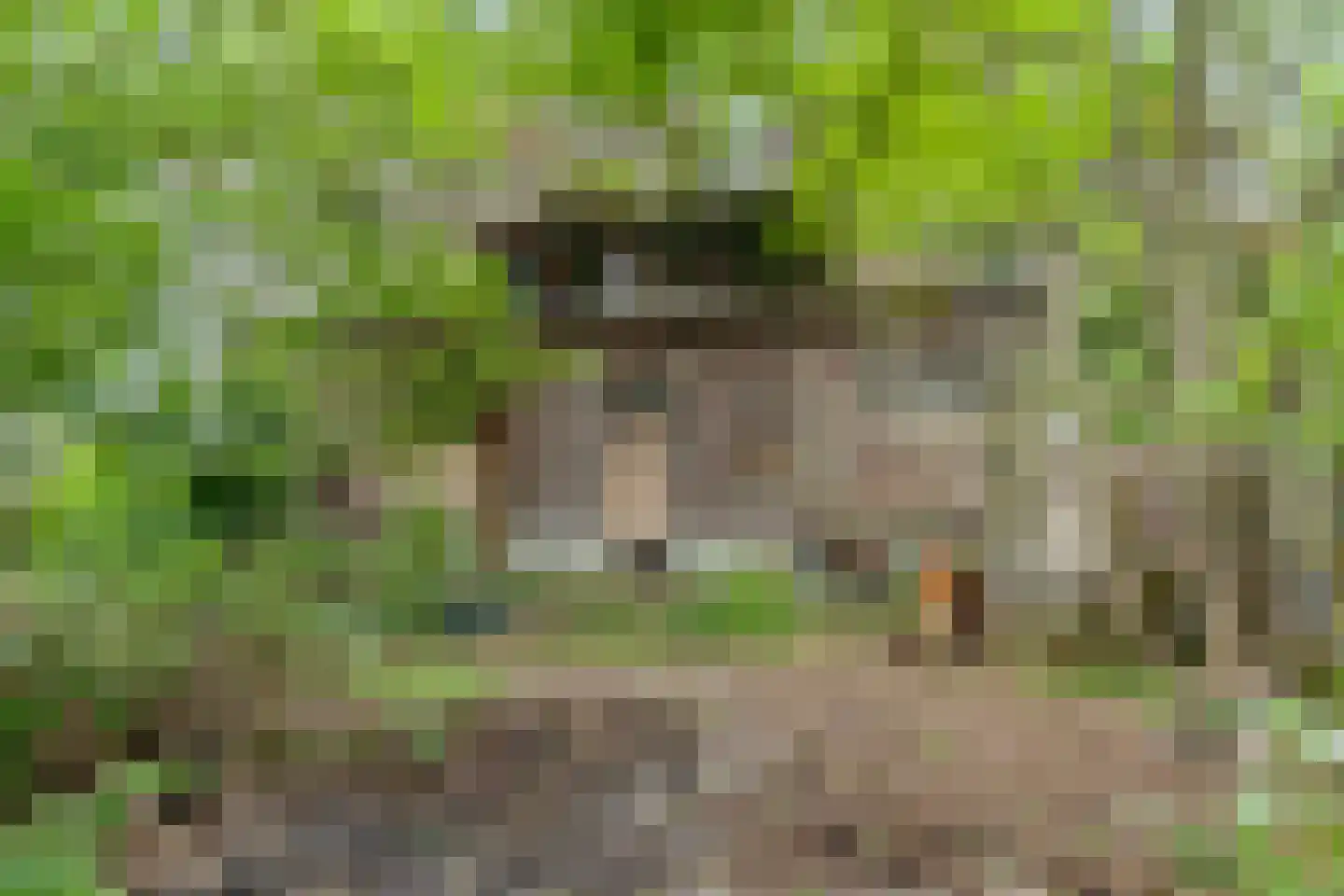 De Buurt 43 Venhuizen thumbnail 30
