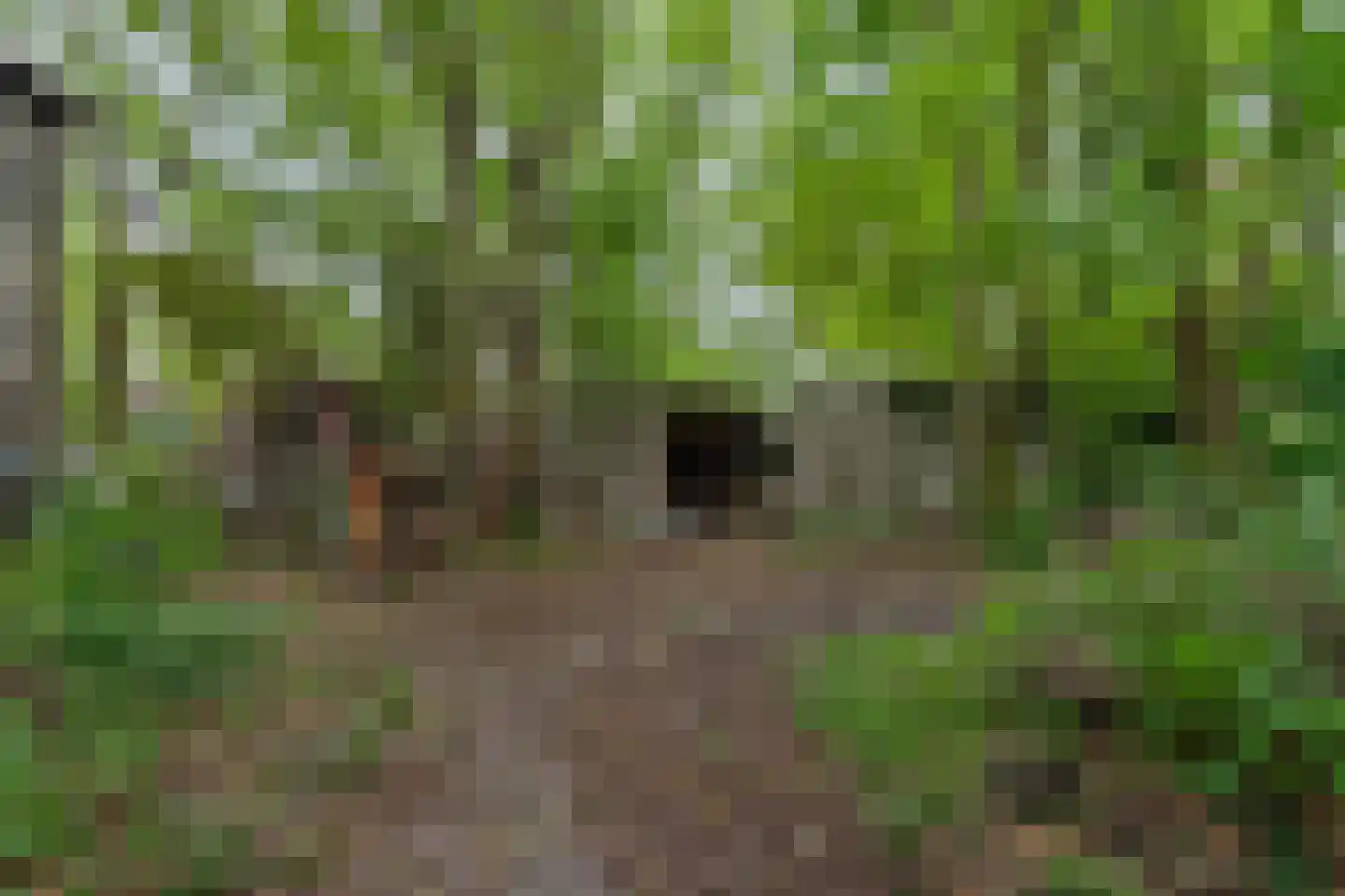 De Buurt 43 Venhuizen thumbnail 31