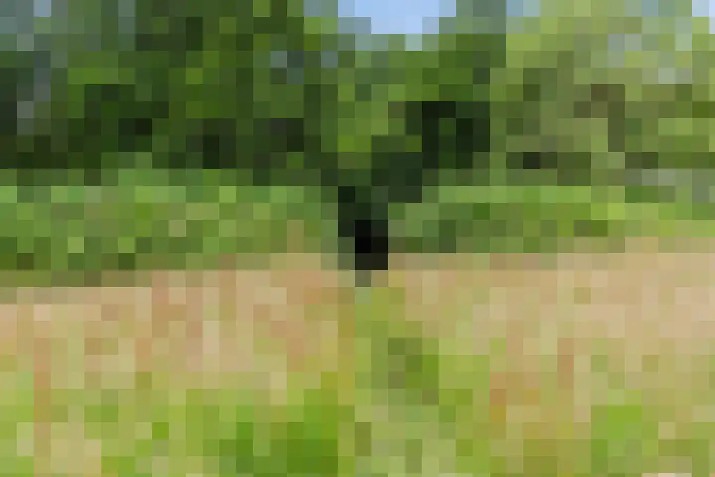 De Buurt 43 Venhuizen thumbnail 37
