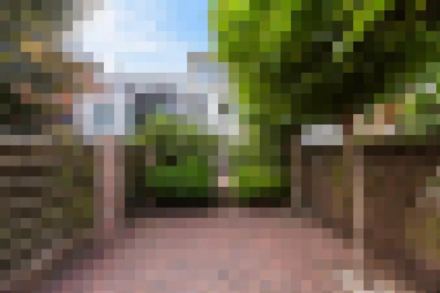 De Buurt 47 Hardinxveld-Giessendam thumbnail 32