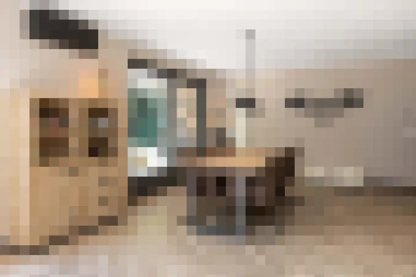 De Buytencamp 17 Bakel thumbnail 10