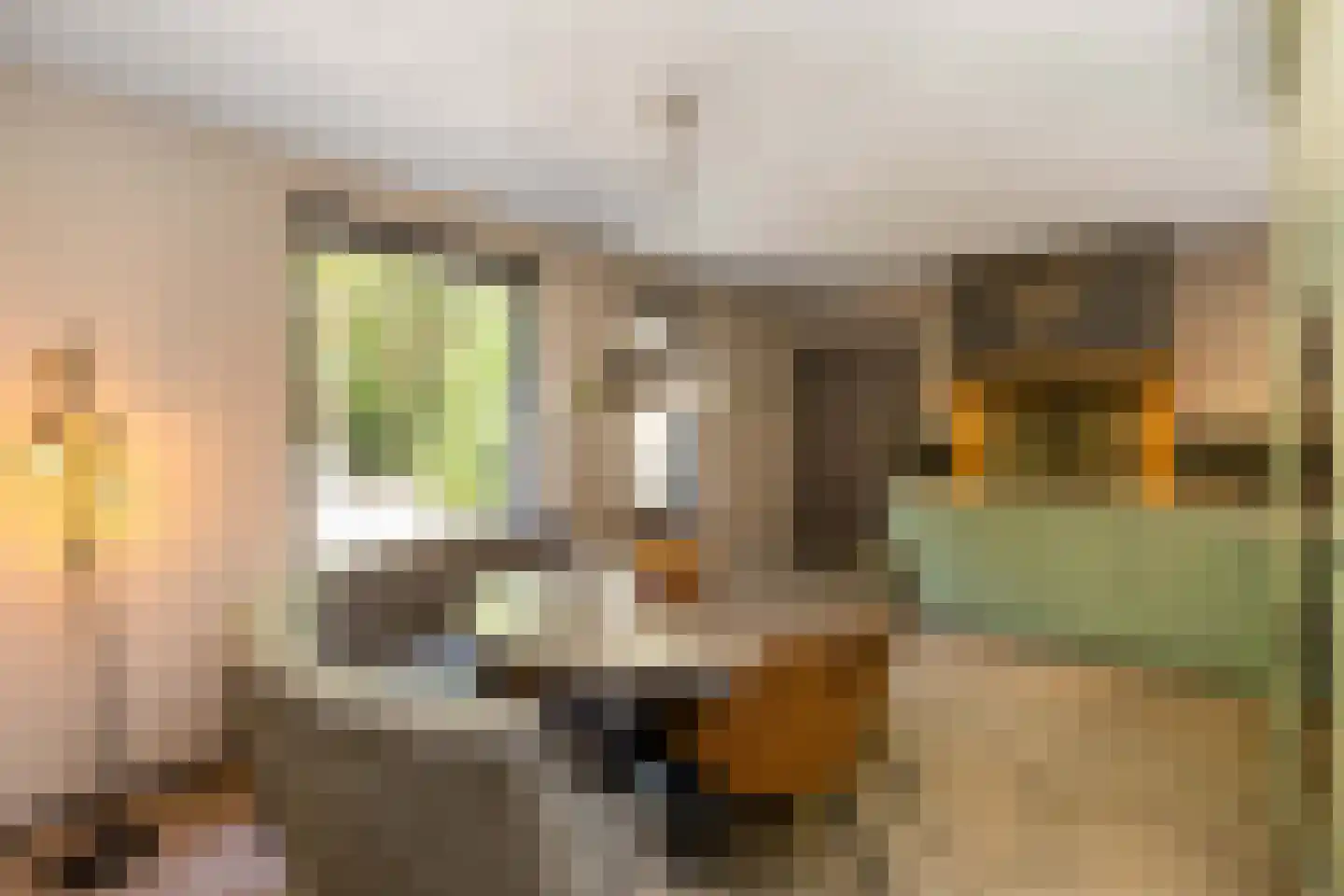 De Buytencamp 17 Bakel thumbnail 16