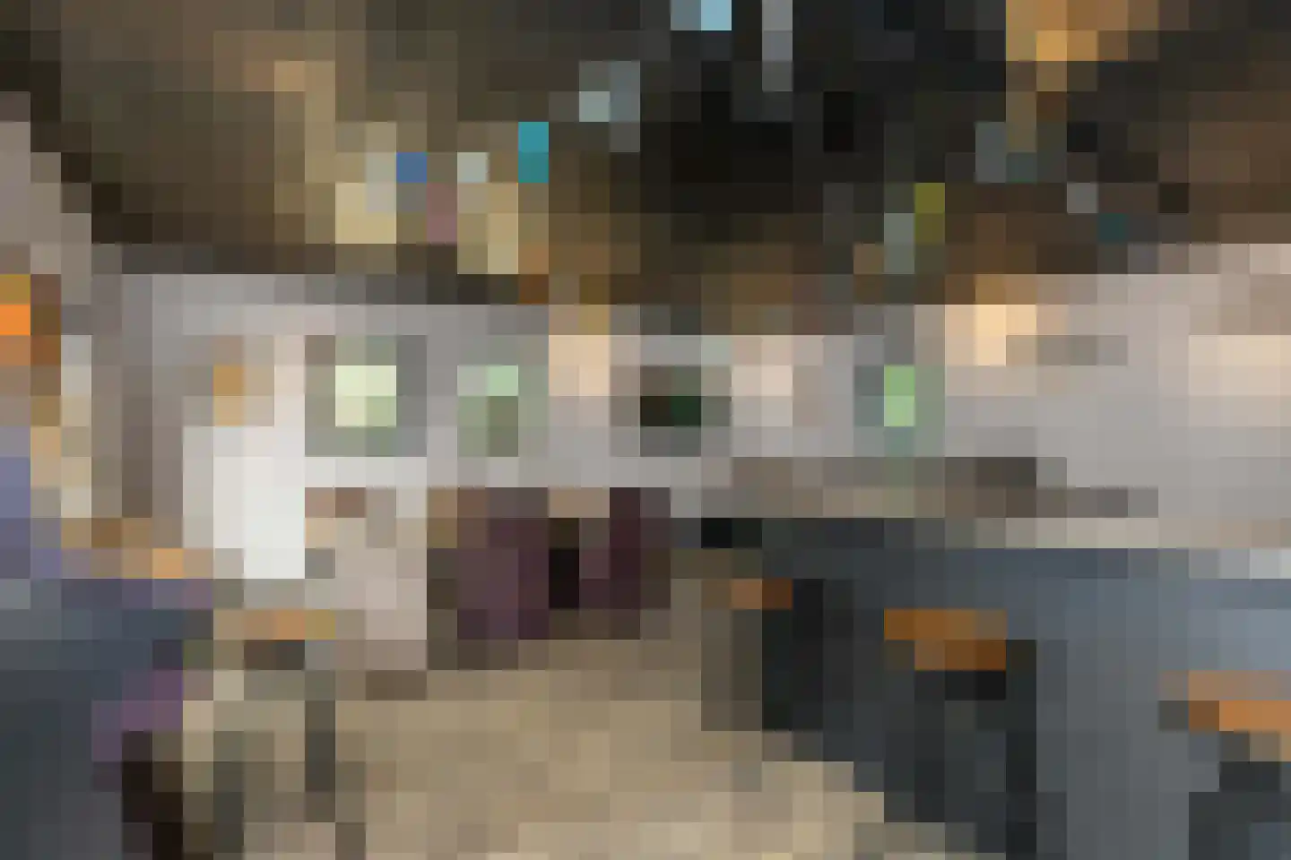 De Buytencamp 17 Bakel thumbnail 23