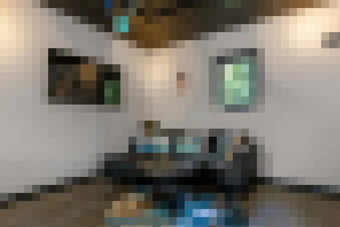 De Buytencamp 17 Bakel thumbnail 24