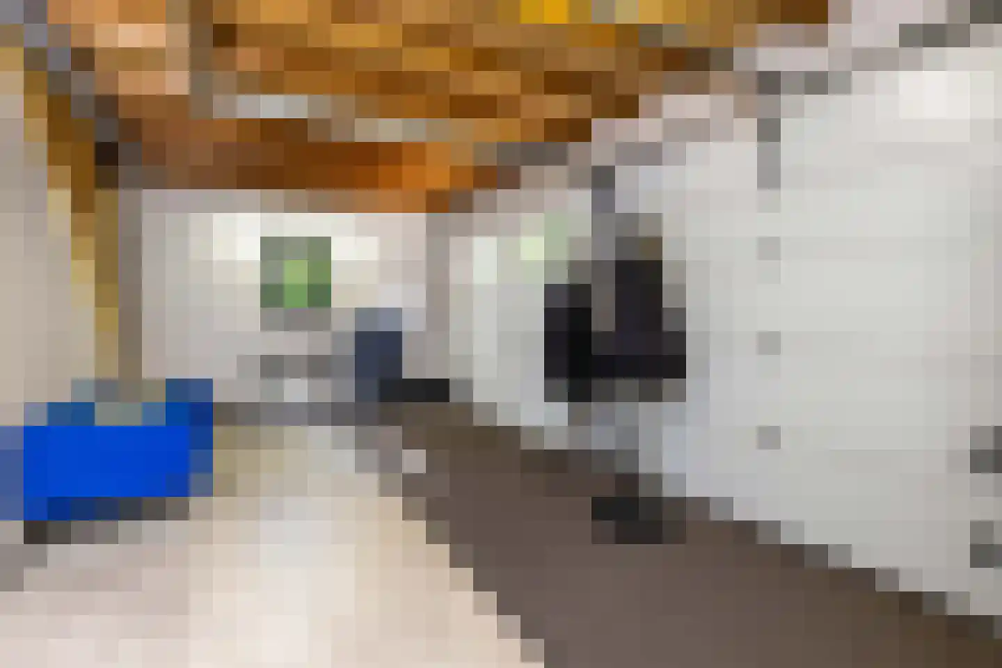 De Buytencamp 17 Bakel thumbnail 26