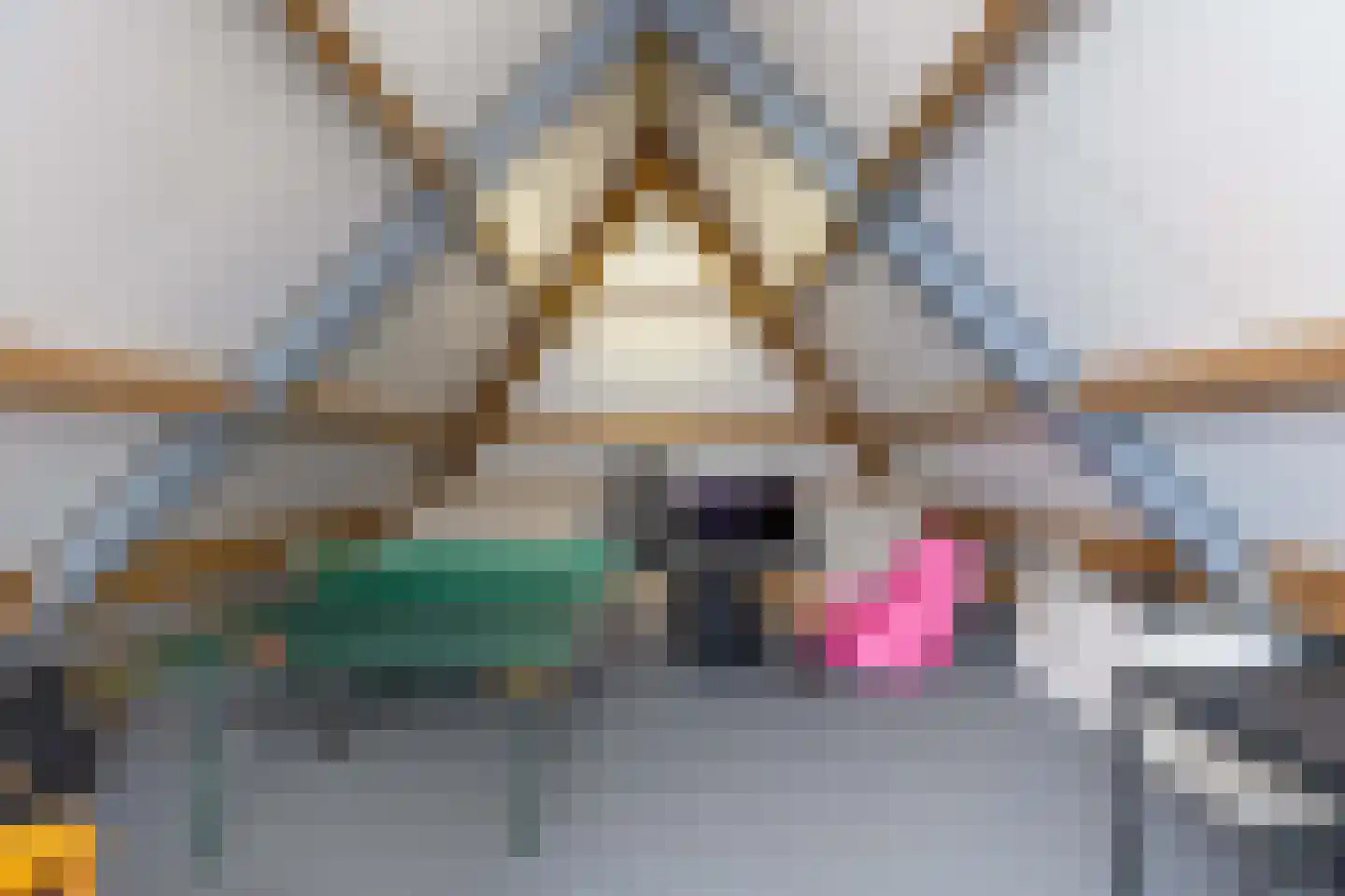 De Buytencamp 17 Bakel thumbnail 30