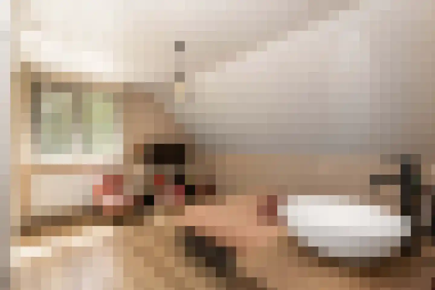 De Buytencamp 17 Bakel thumbnail 34