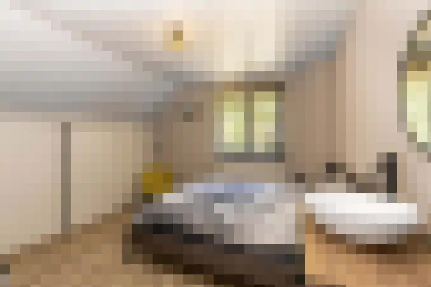 De Buytencamp 17 Bakel thumbnail 35