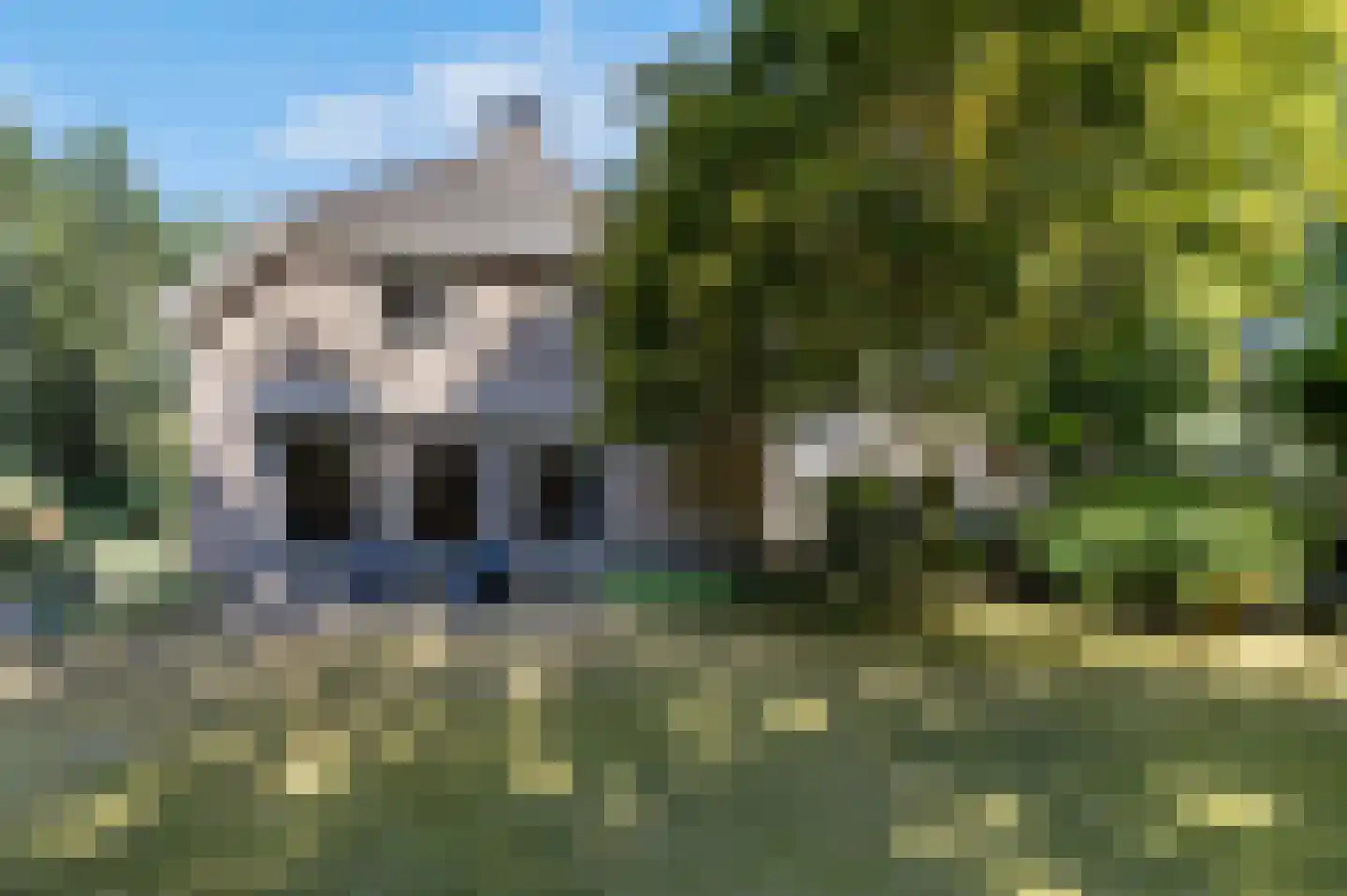 De Buytencamp 17 Bakel thumbnail 49