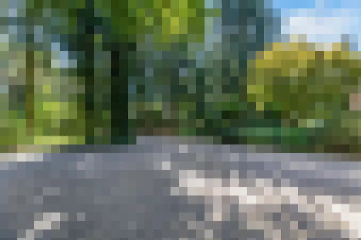 De Buytencamp 17 Bakel thumbnail 52