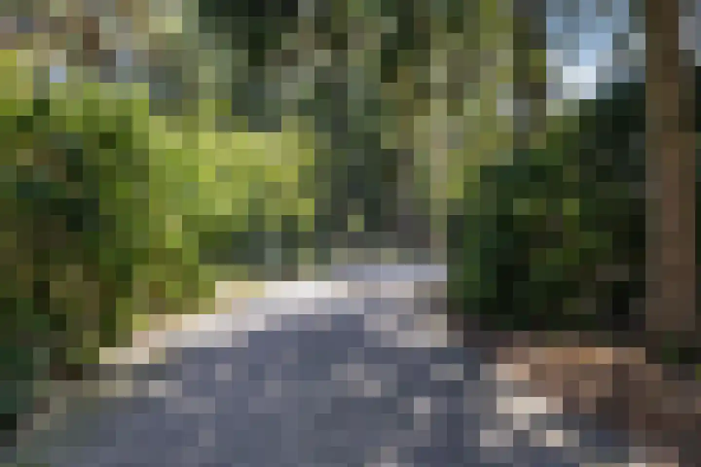 De Buytencamp 17 Bakel thumbnail 53