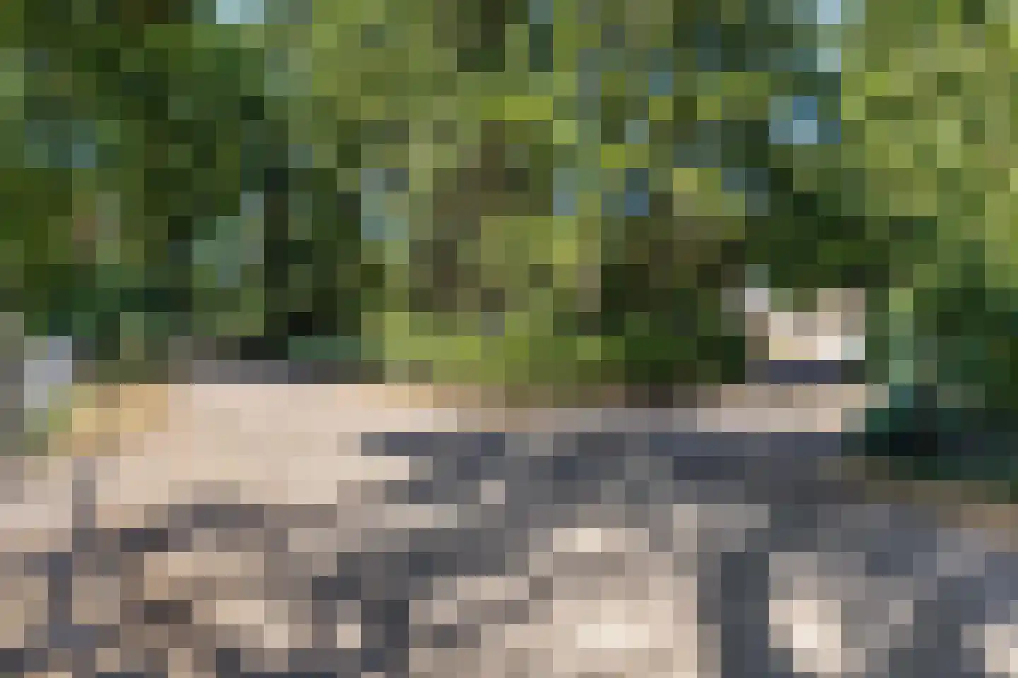 De Buytencamp 17 Bakel thumbnail 54