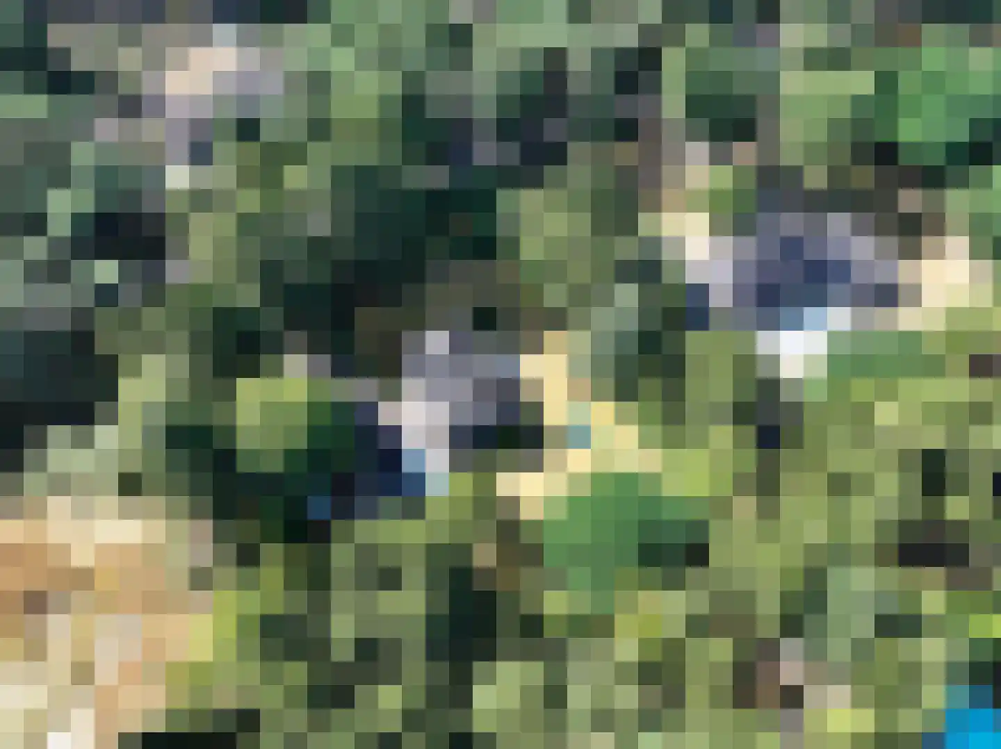 De Buytencamp 17 Bakel thumbnail 55