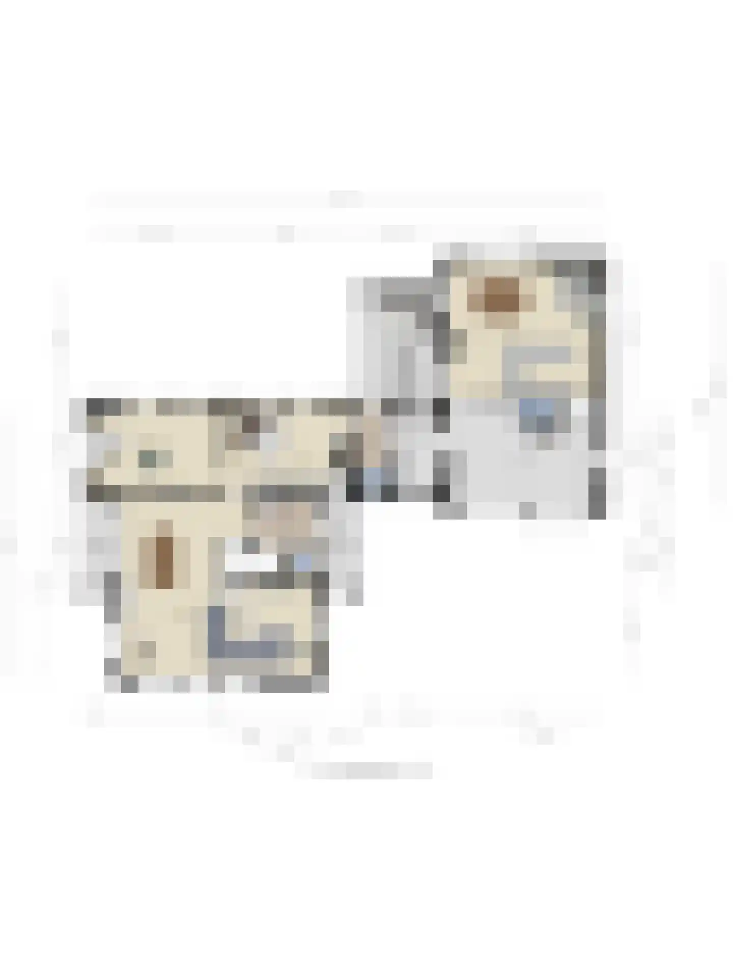 De Buytencamp 17 Bakel thumbnail 57