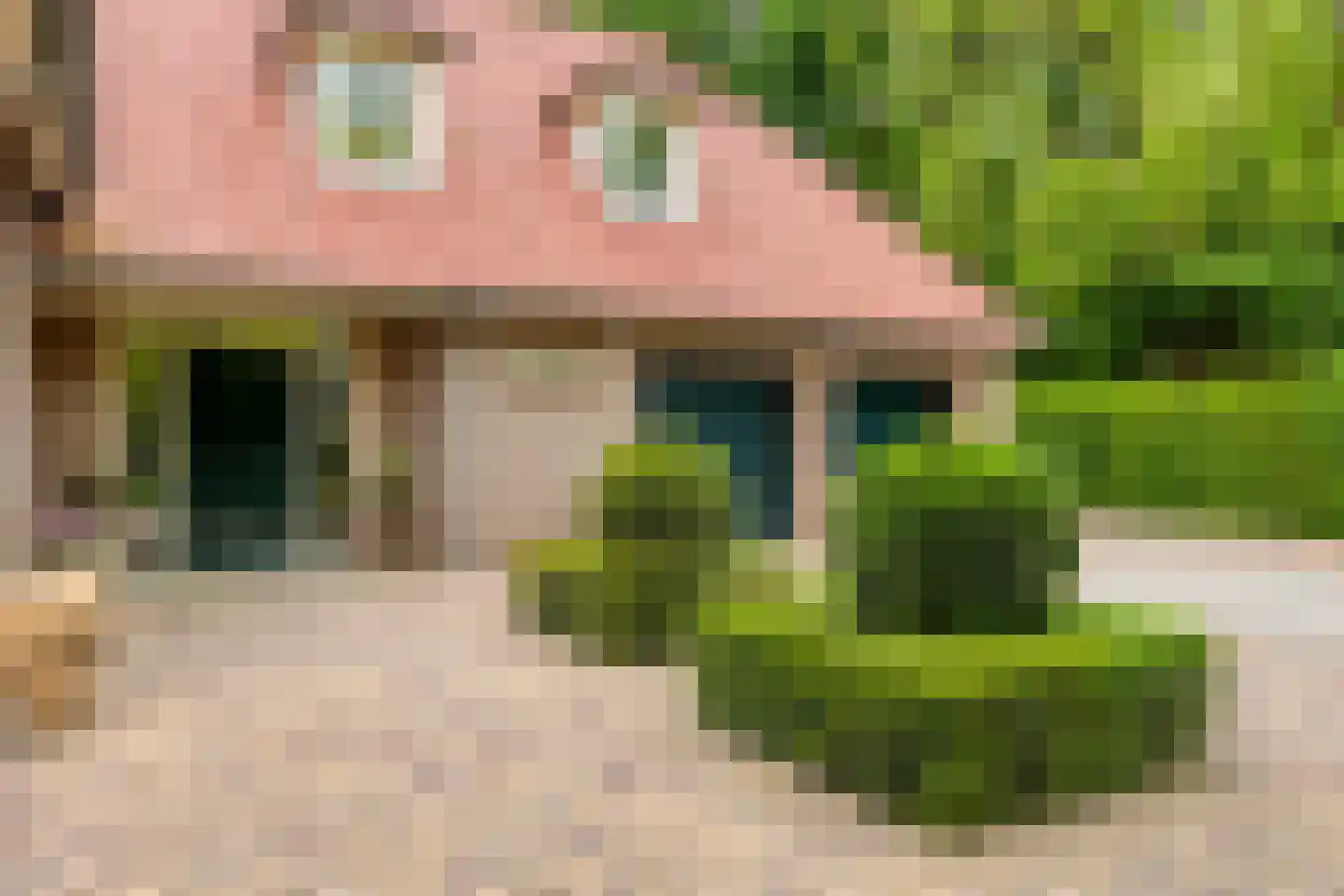 De Buytencamp 2 a Bakel thumbnail 10