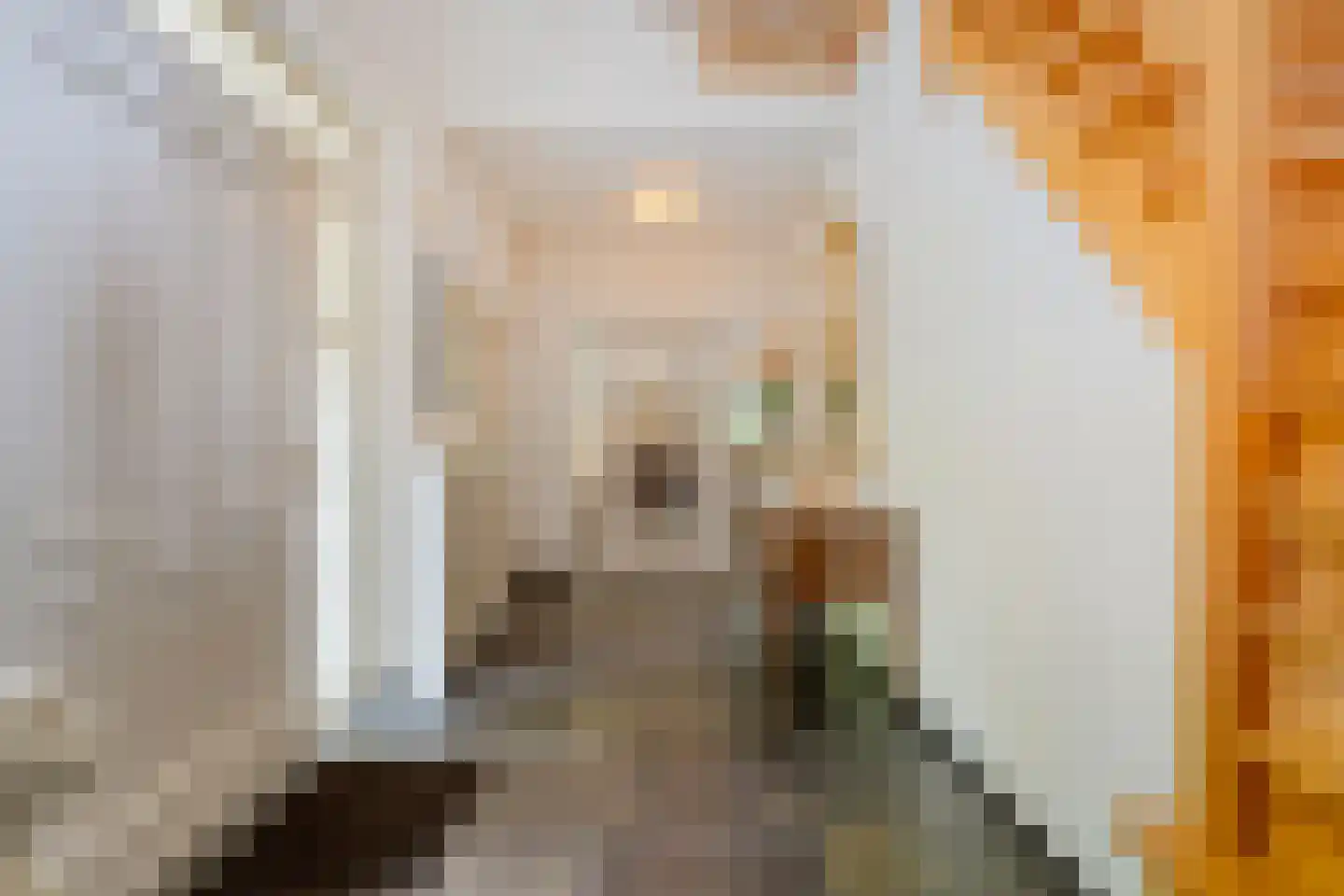 De Buytencamp 2 a Bakel thumbnail 11