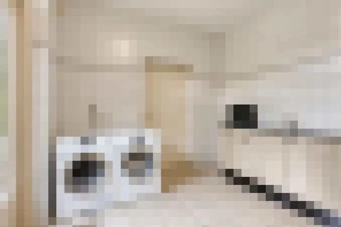 De Buytencamp 2 a Bakel thumbnail 36