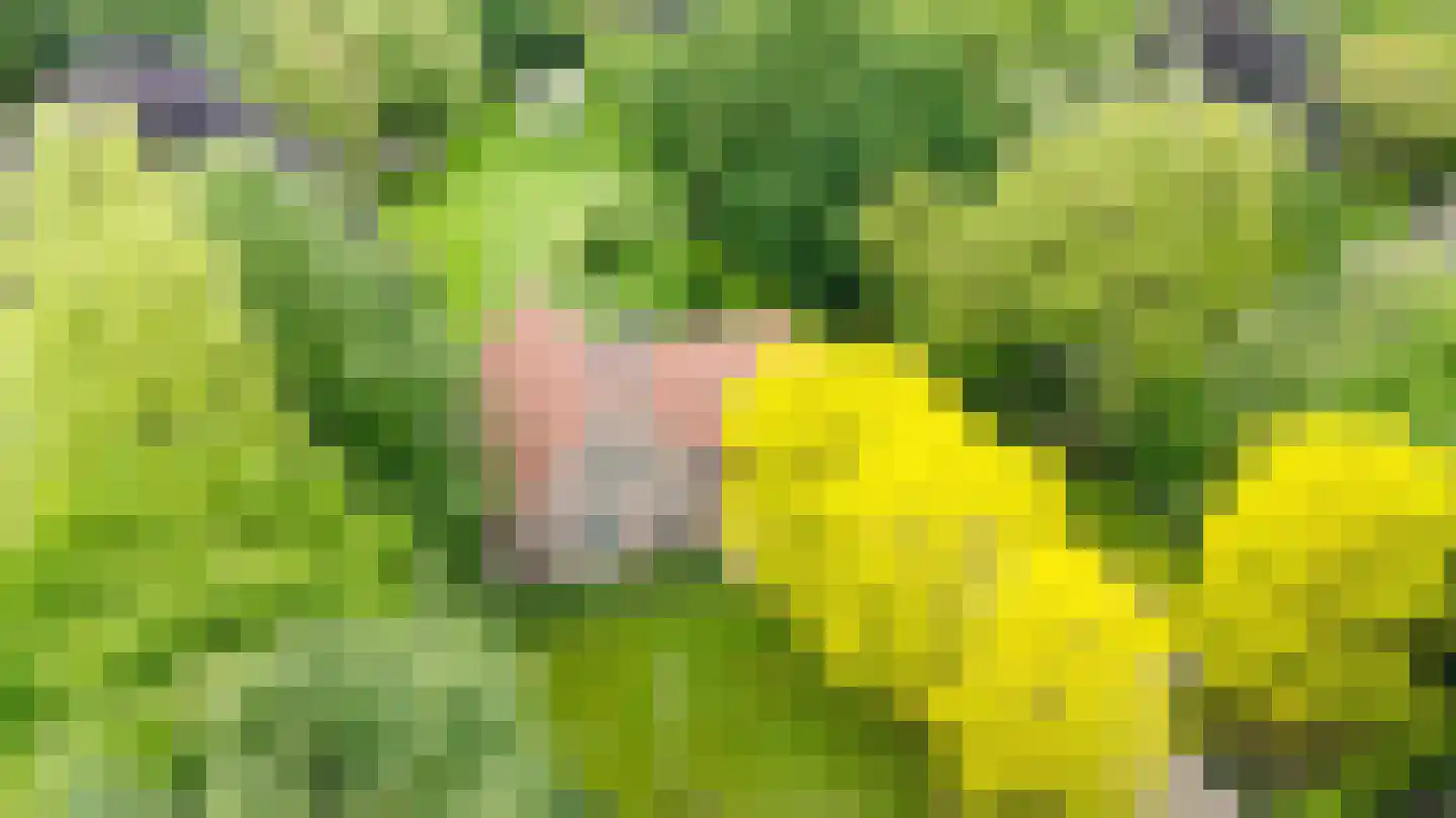 De Buytencamp 2 a Bakel thumbnail 4