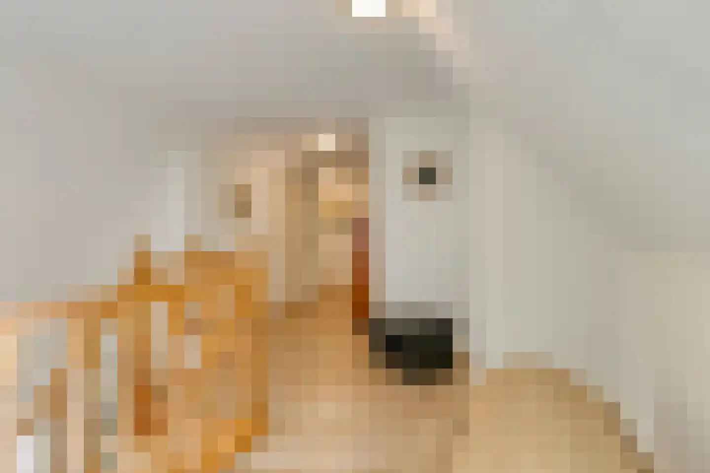 De Buytencamp 2 a Bakel thumbnail 42