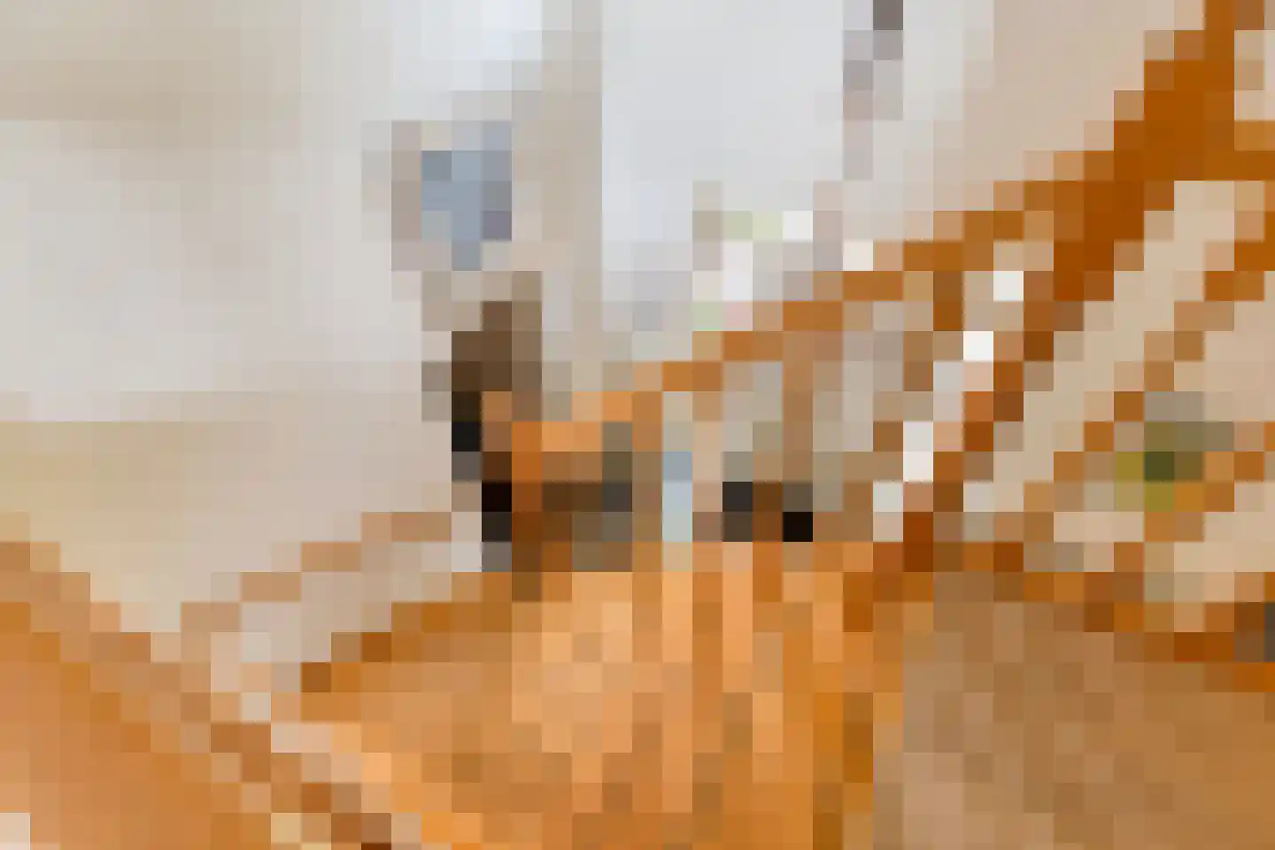De Buytencamp 2 a Bakel thumbnail 43