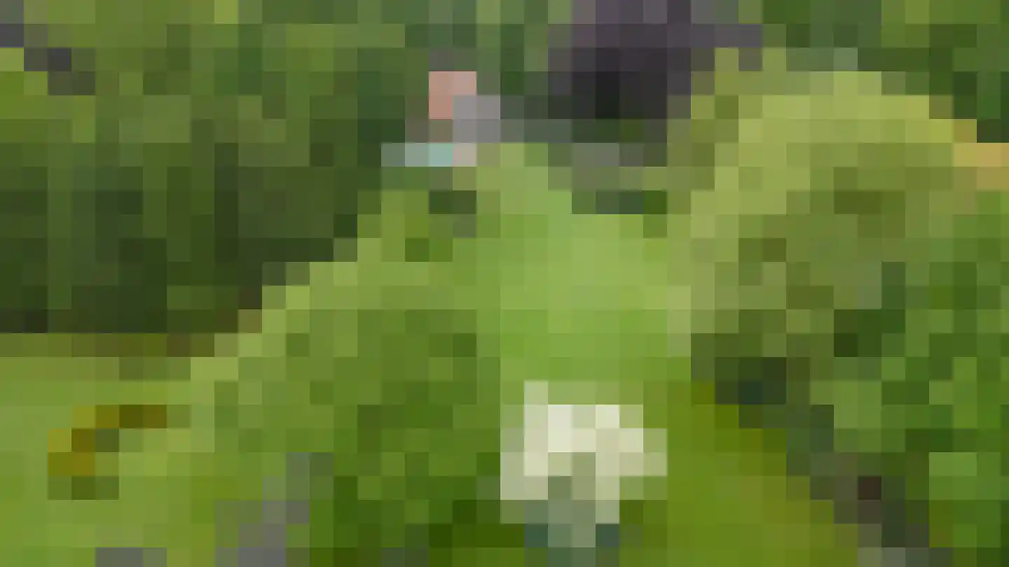 De Buytencamp 2 a Bakel thumbnail 6