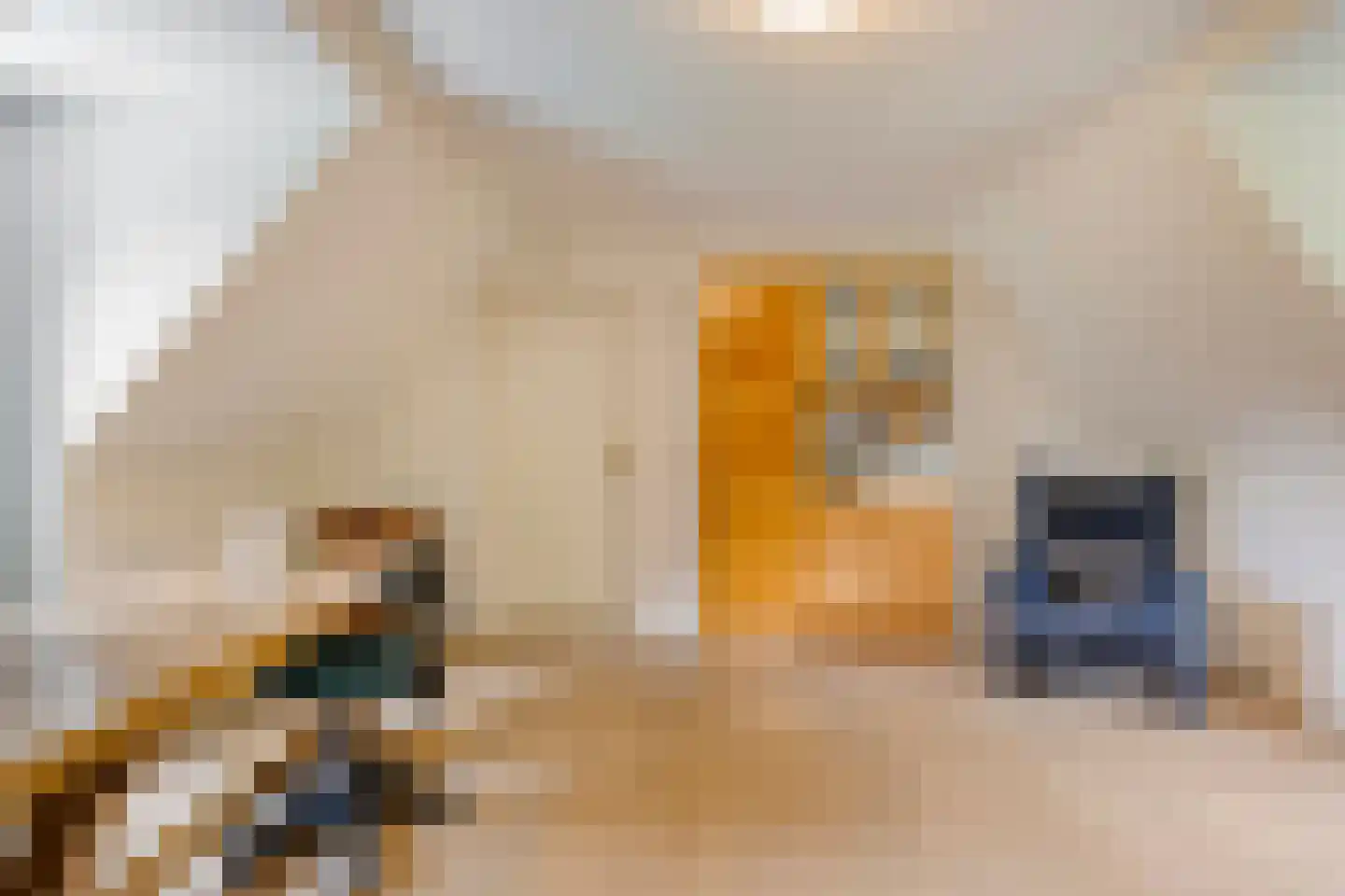 De Buytencamp 2 a Bakel thumbnail 60