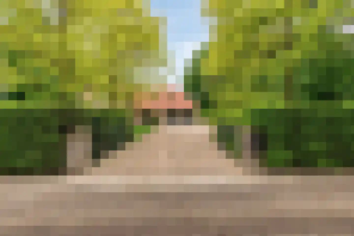 De Buytencamp 2 a Bakel thumbnail 66