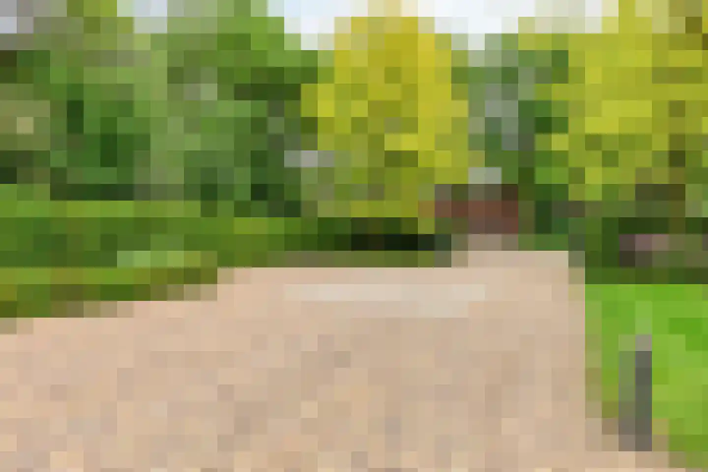 De Buytencamp 2 a Bakel thumbnail 67