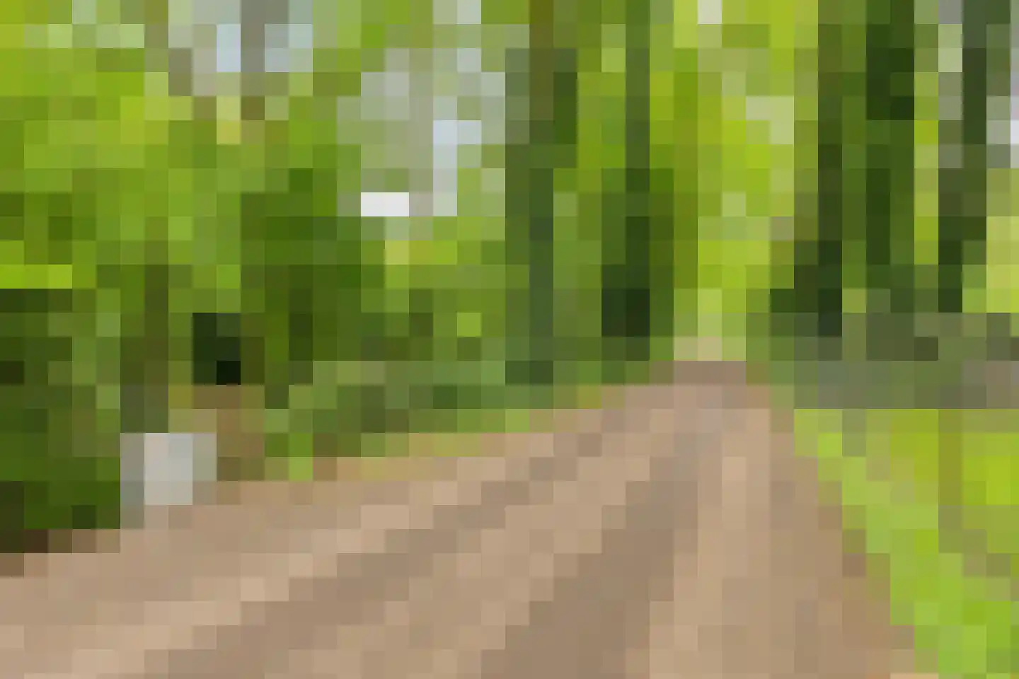 De Buytencamp 2 a Bakel thumbnail 7