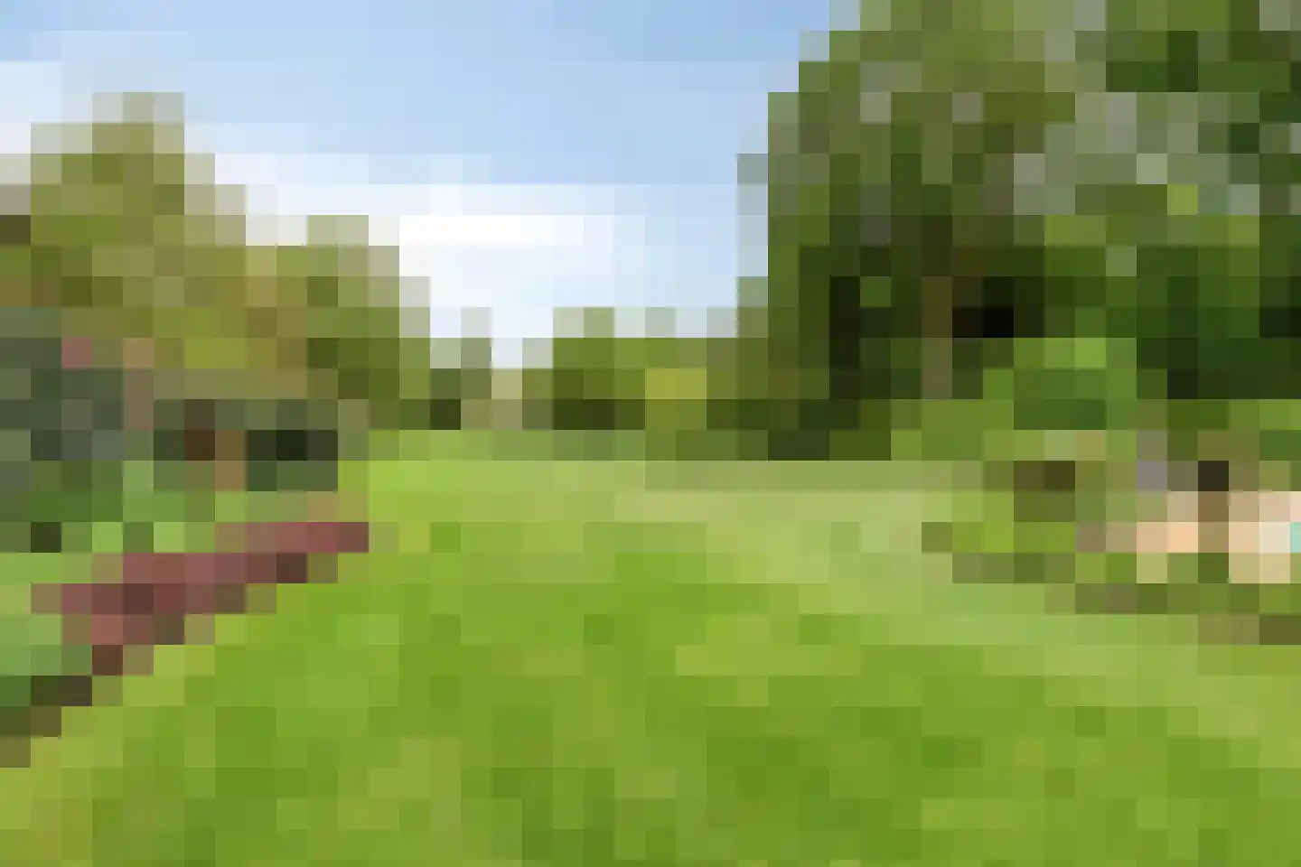 De Buytencamp 2 a Bakel thumbnail 71