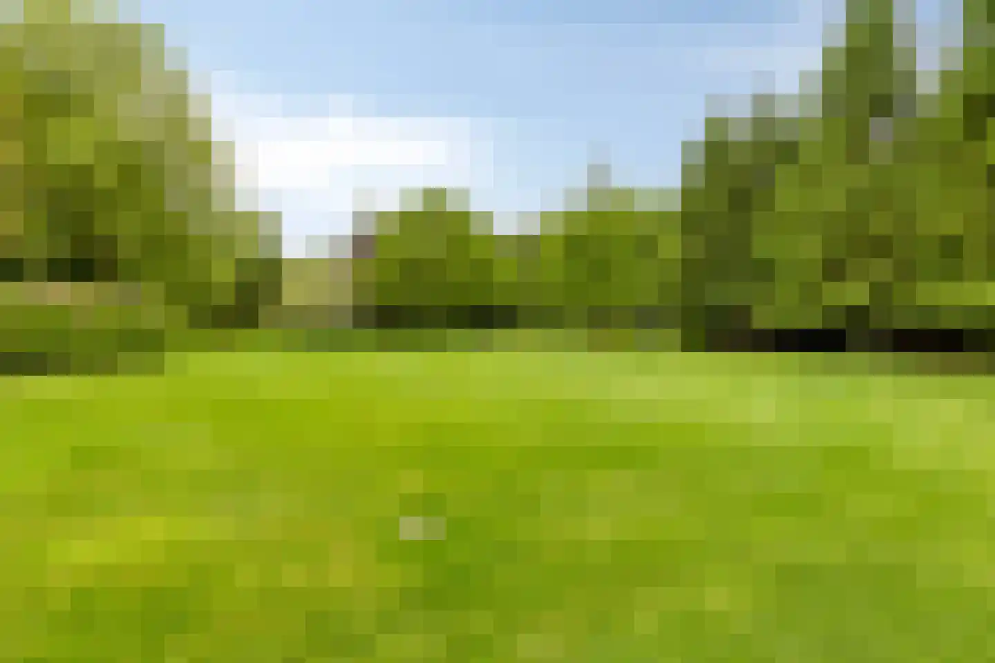 De Buytencamp 2 a Bakel thumbnail 72