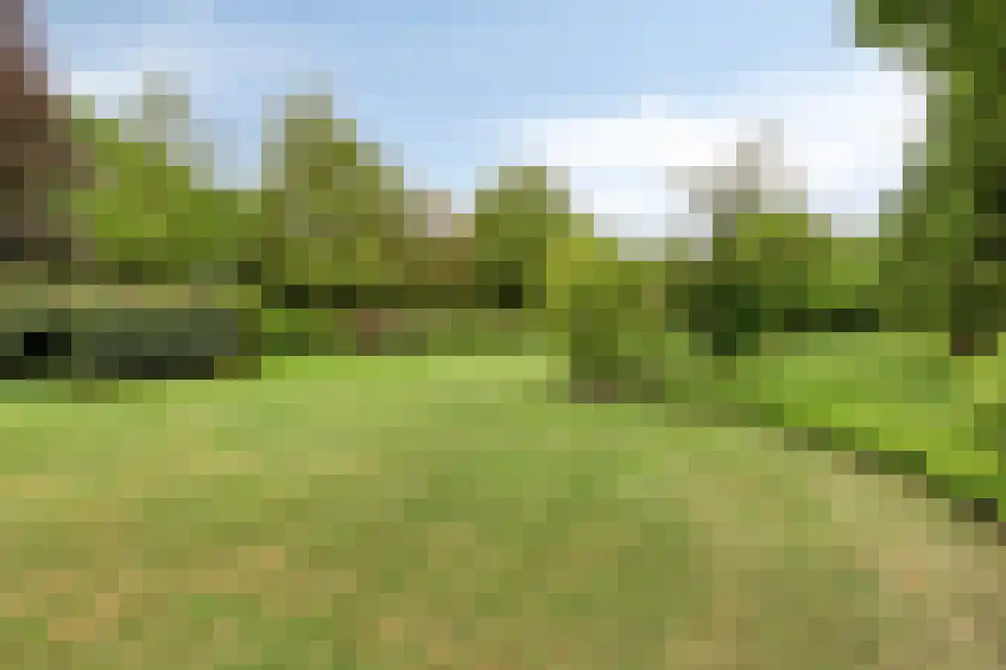 De Buytencamp 2 a Bakel thumbnail 74