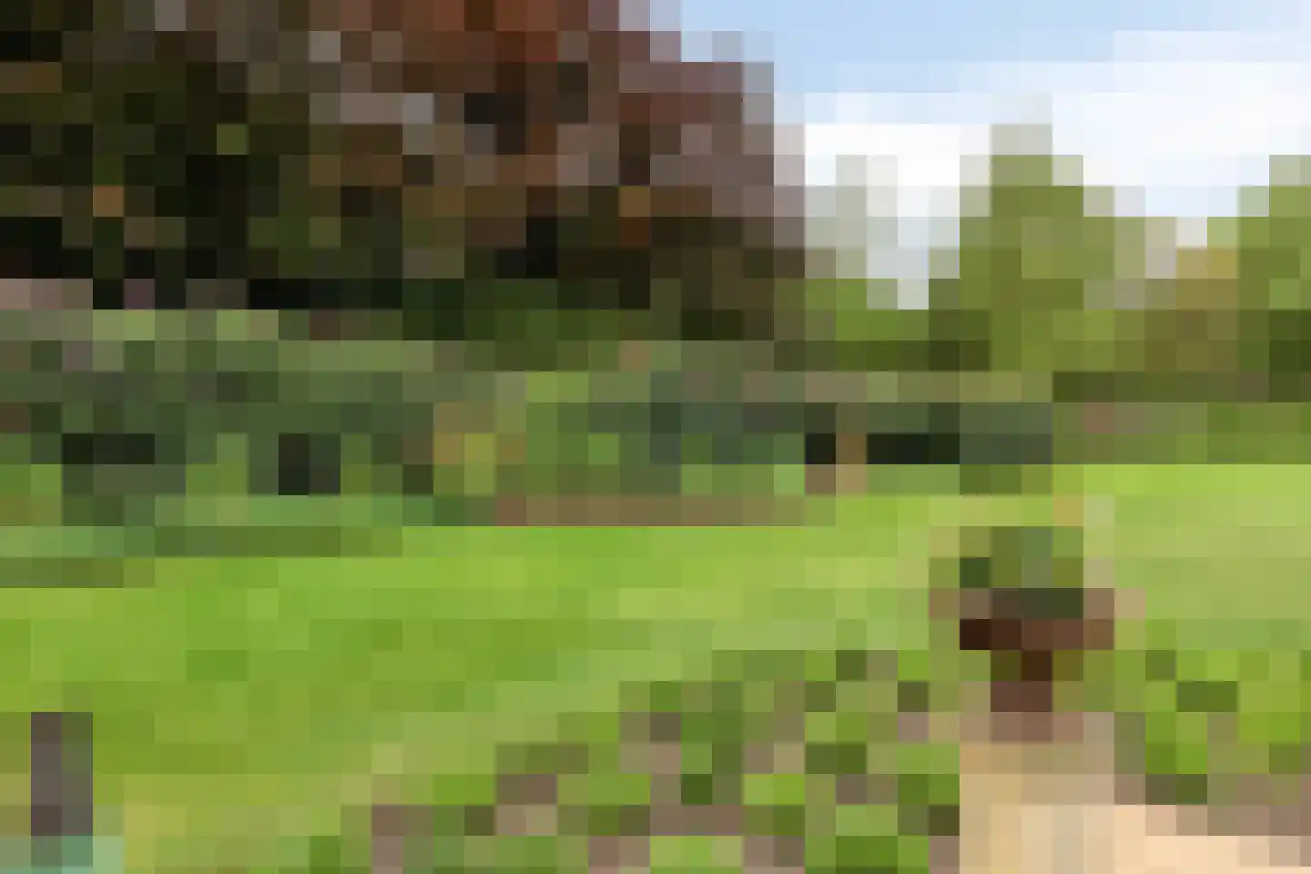 De Buytencamp 2 a Bakel thumbnail 75