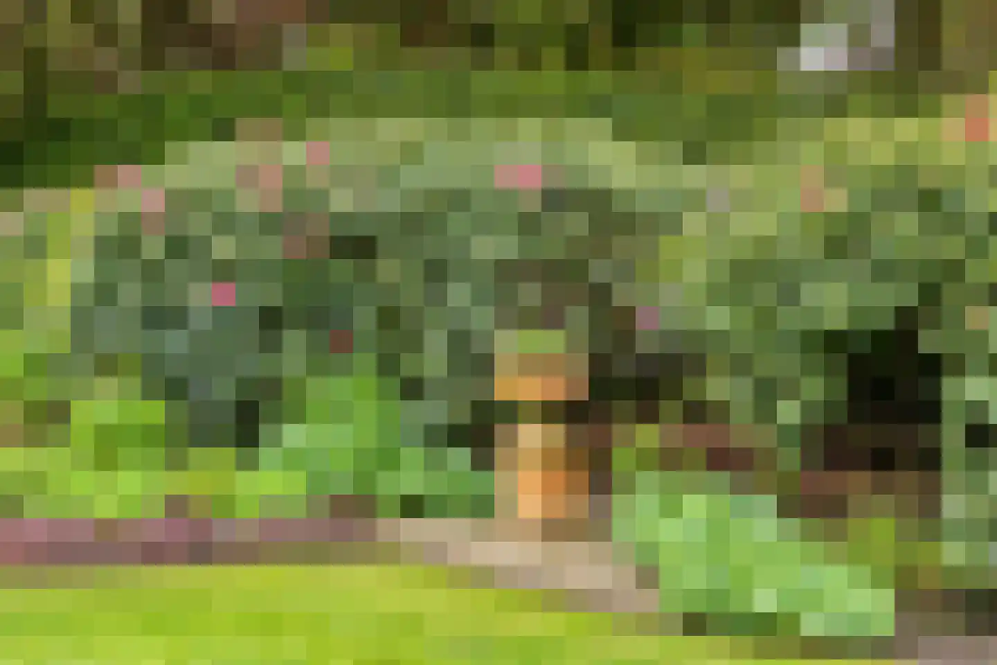 De Buytencamp 2 a Bakel thumbnail 76