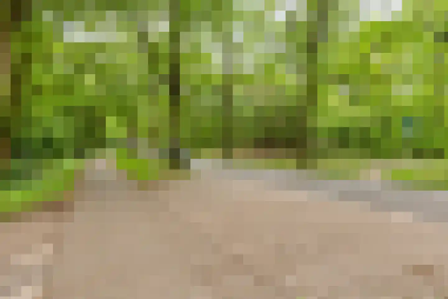 De Buytencamp 2 a Bakel thumbnail 8