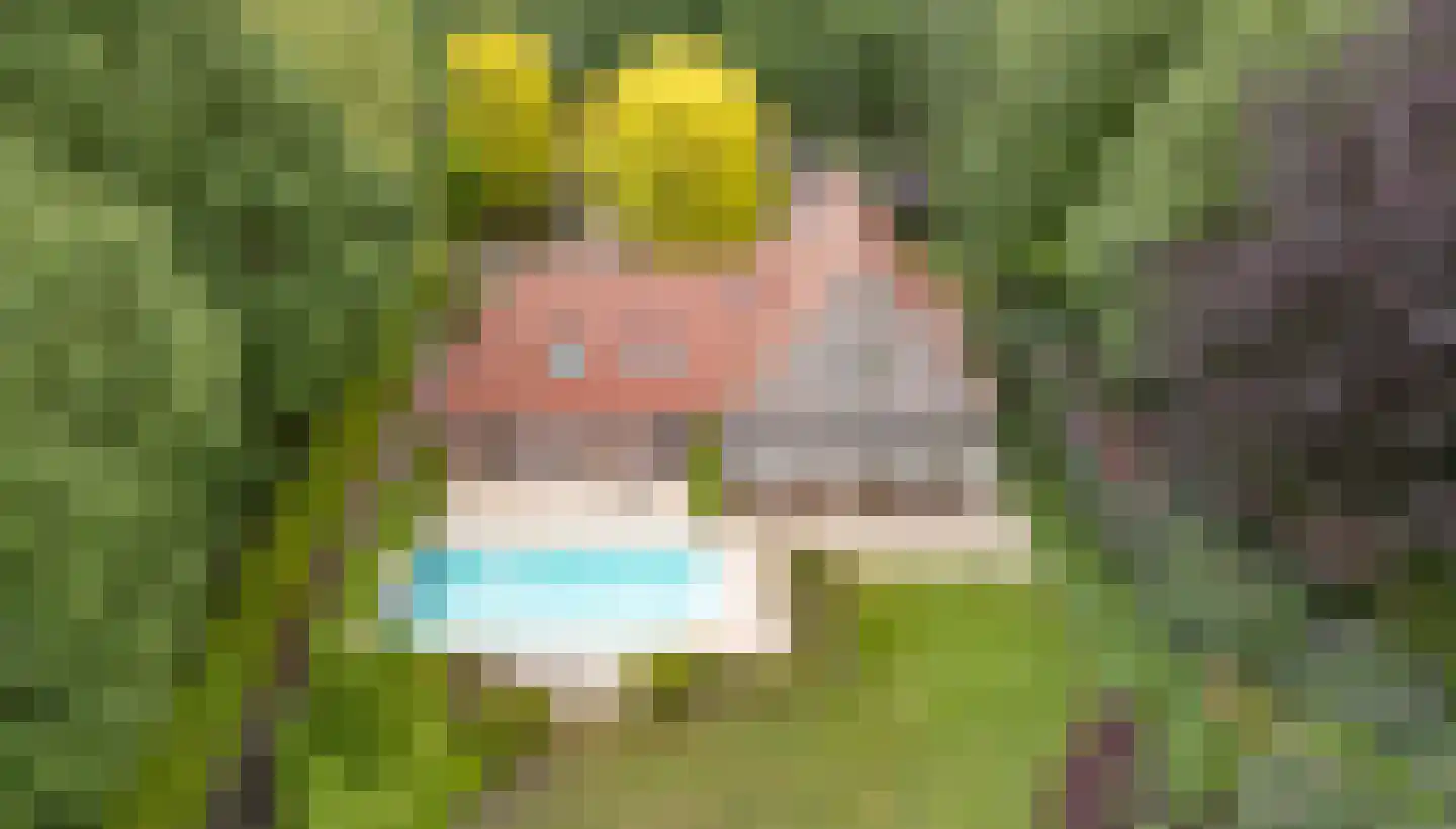De Buytencamp 2 a Bakel thumbnail 85