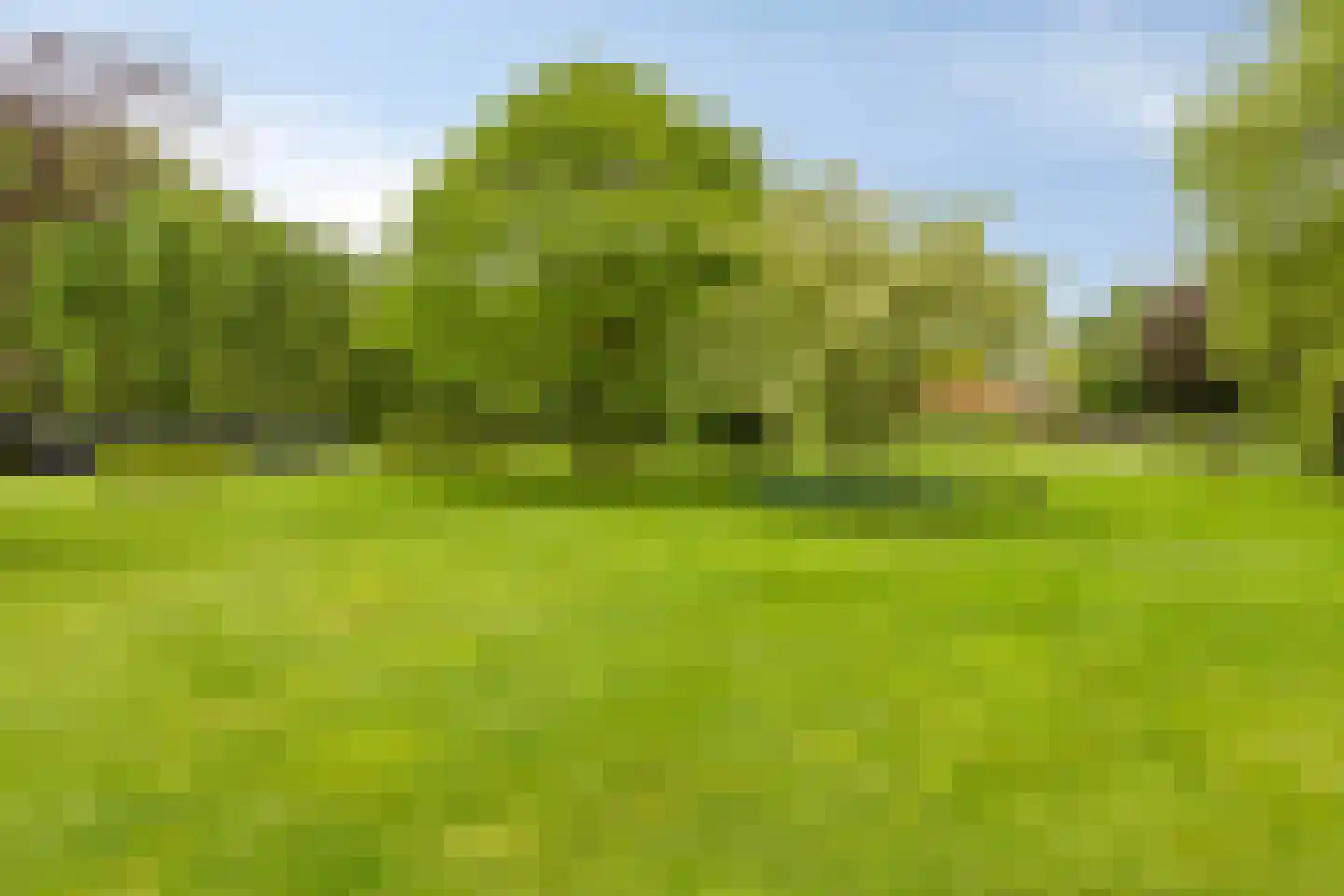 De Buytencamp 2 a Bakel thumbnail 87
