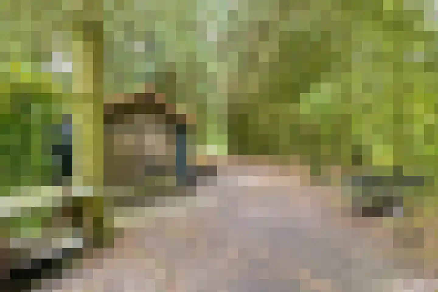 De Buytencamp 2 a Bakel thumbnail 88