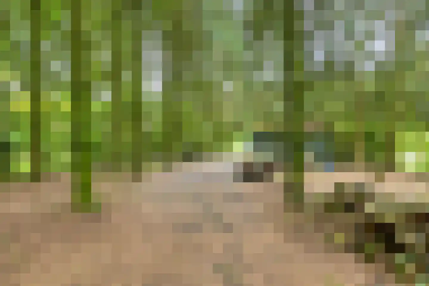 De Buytencamp 2 a Bakel thumbnail 89