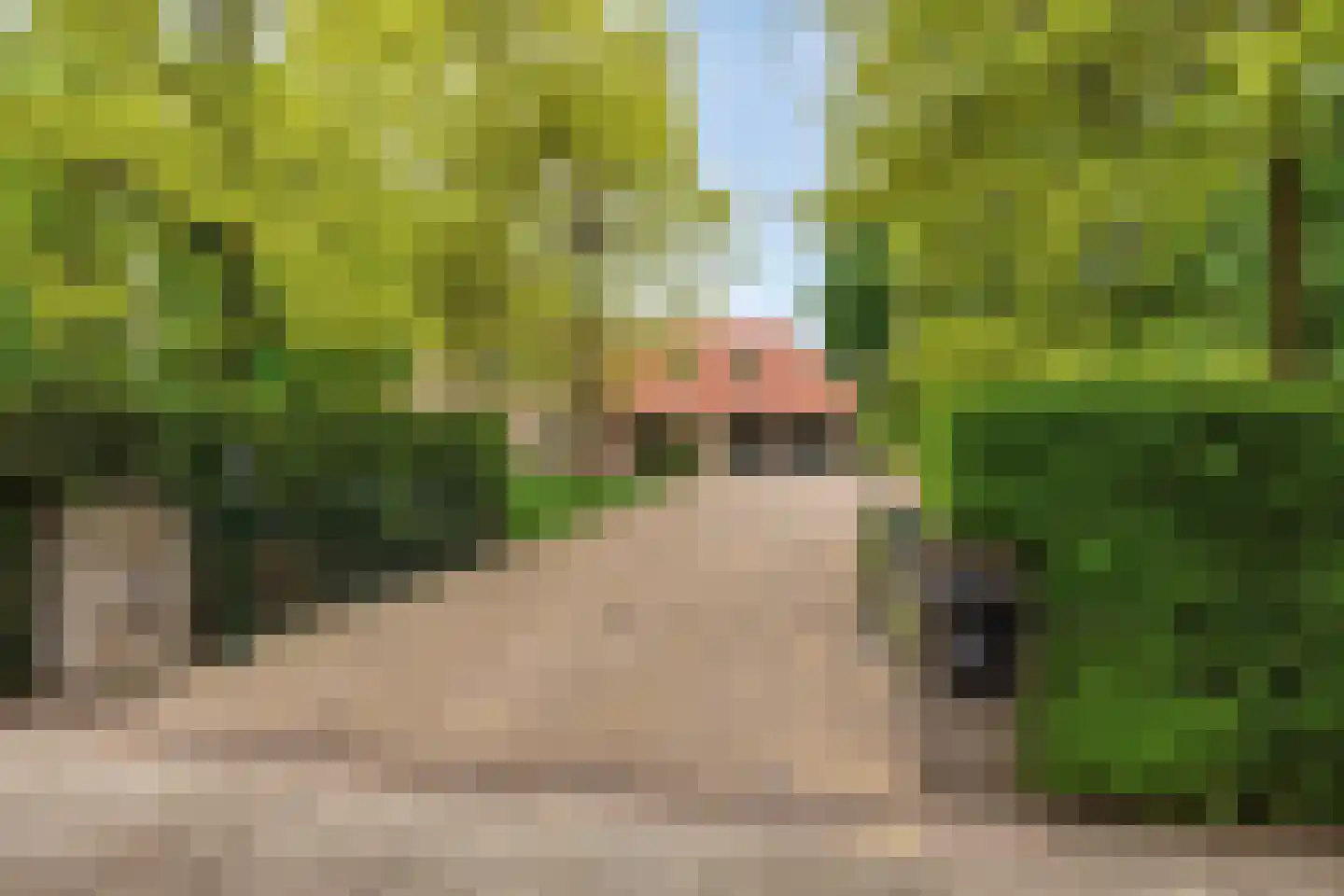 De Buytencamp 2 a Bakel thumbnail 9