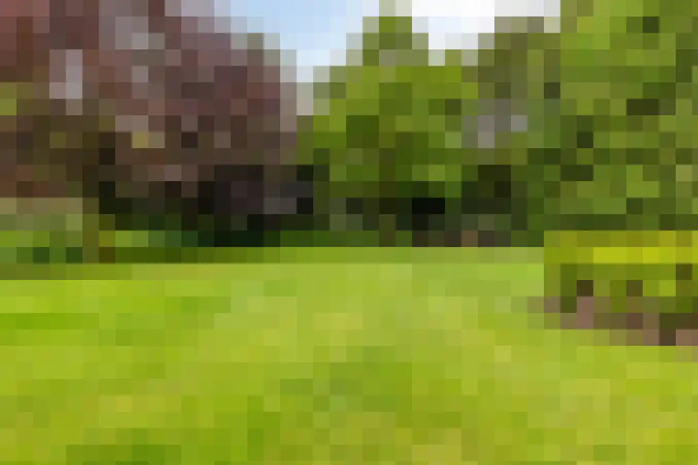 De Buytencamp 2 a Bakel thumbnail 90