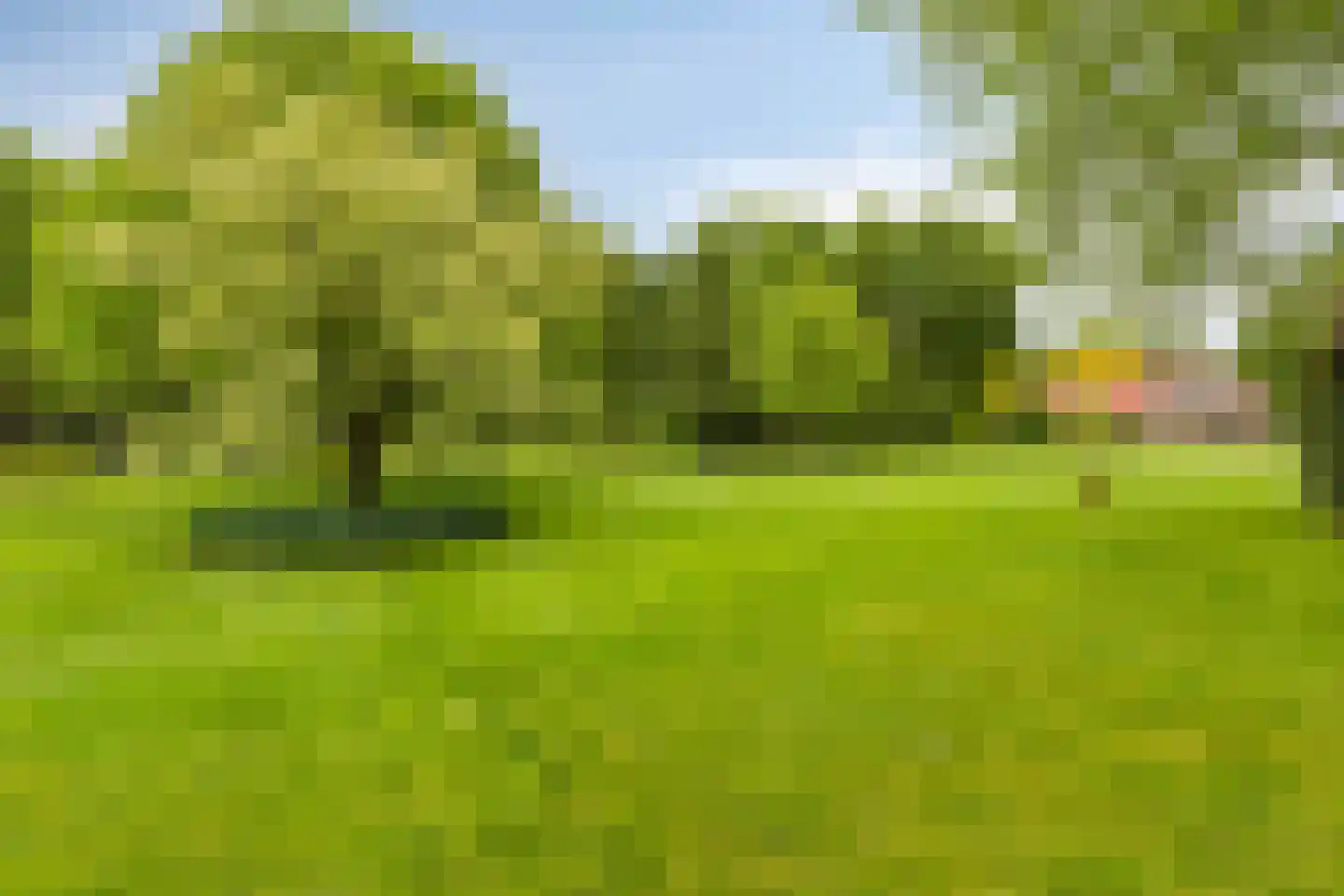 De Buytencamp 2 a Bakel thumbnail 91