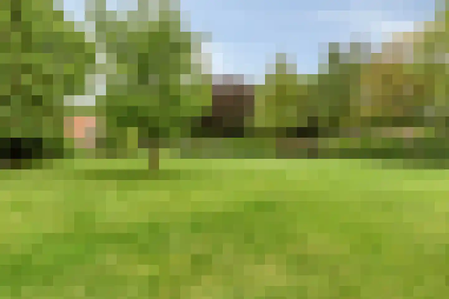 De Buytencamp 2 a Bakel thumbnail 92